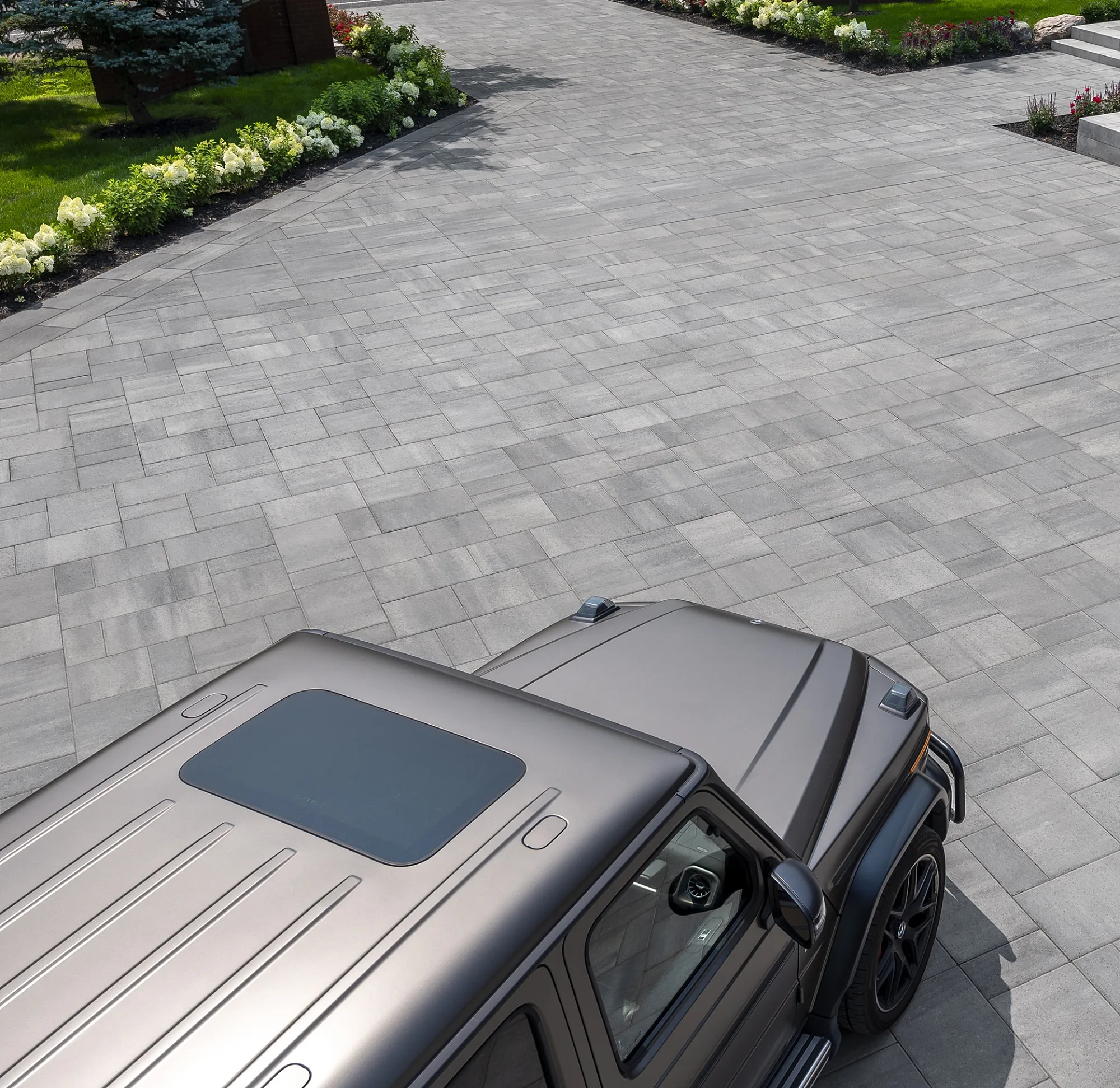 Landscaping Color of the Year 2025 Husky