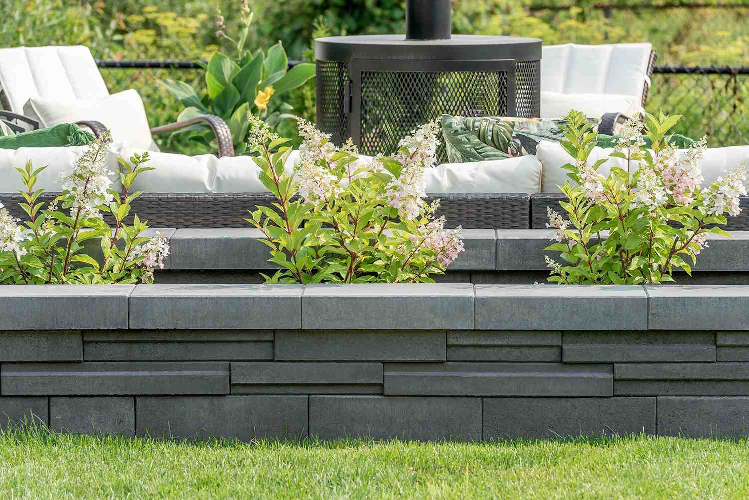 Solino - Ash Charcoal