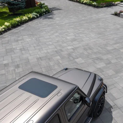 Landscaping Color of the Year 2025 Husky Couleur de lannée 2025 pour laménagement paysager Husky