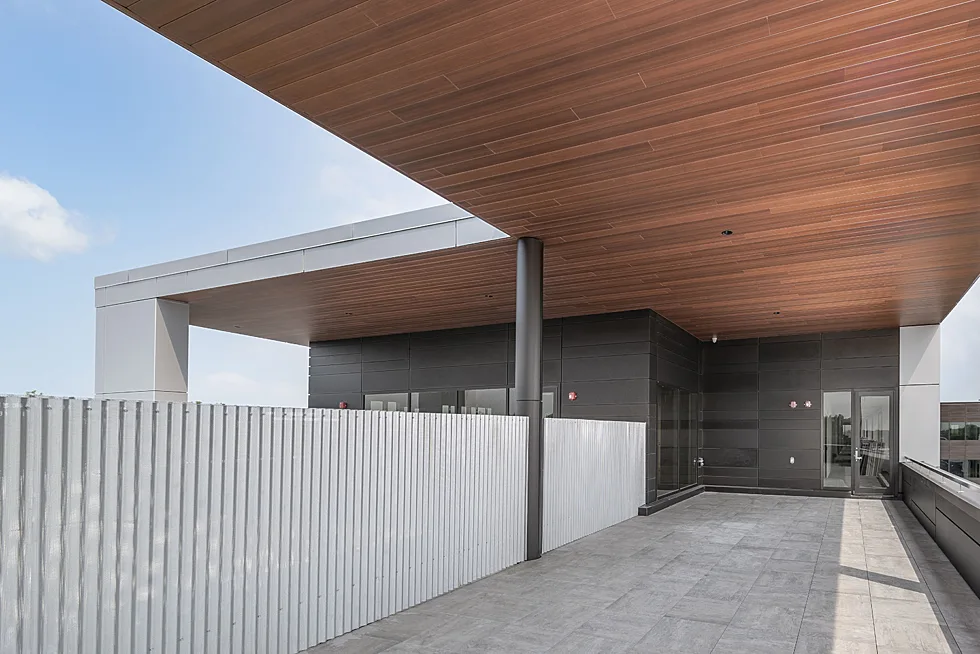 RIALUX TIAGO ECORCE 4694 low