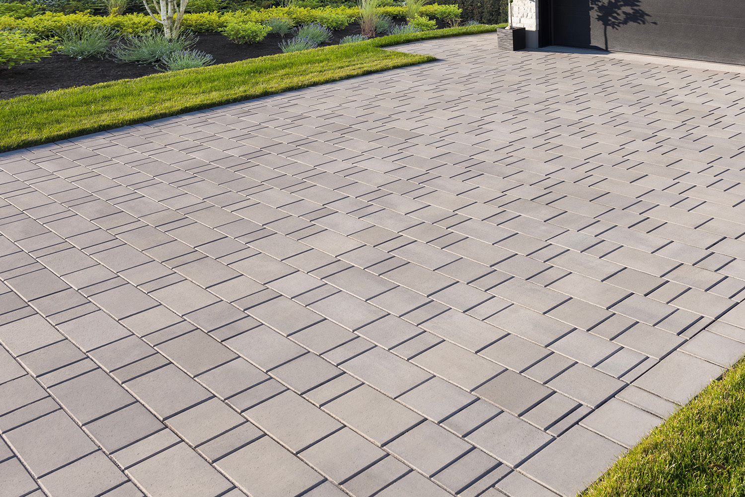 Aspen - Ash Charcoal
