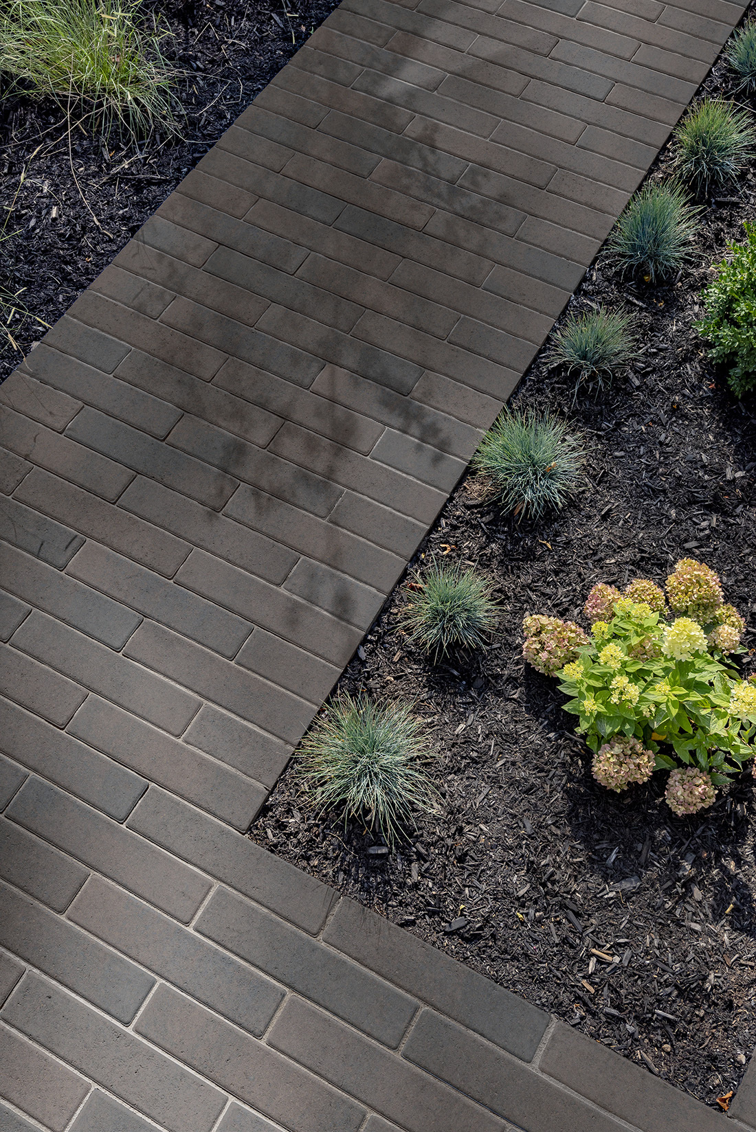 Proma Barrette - Ash Charcoal