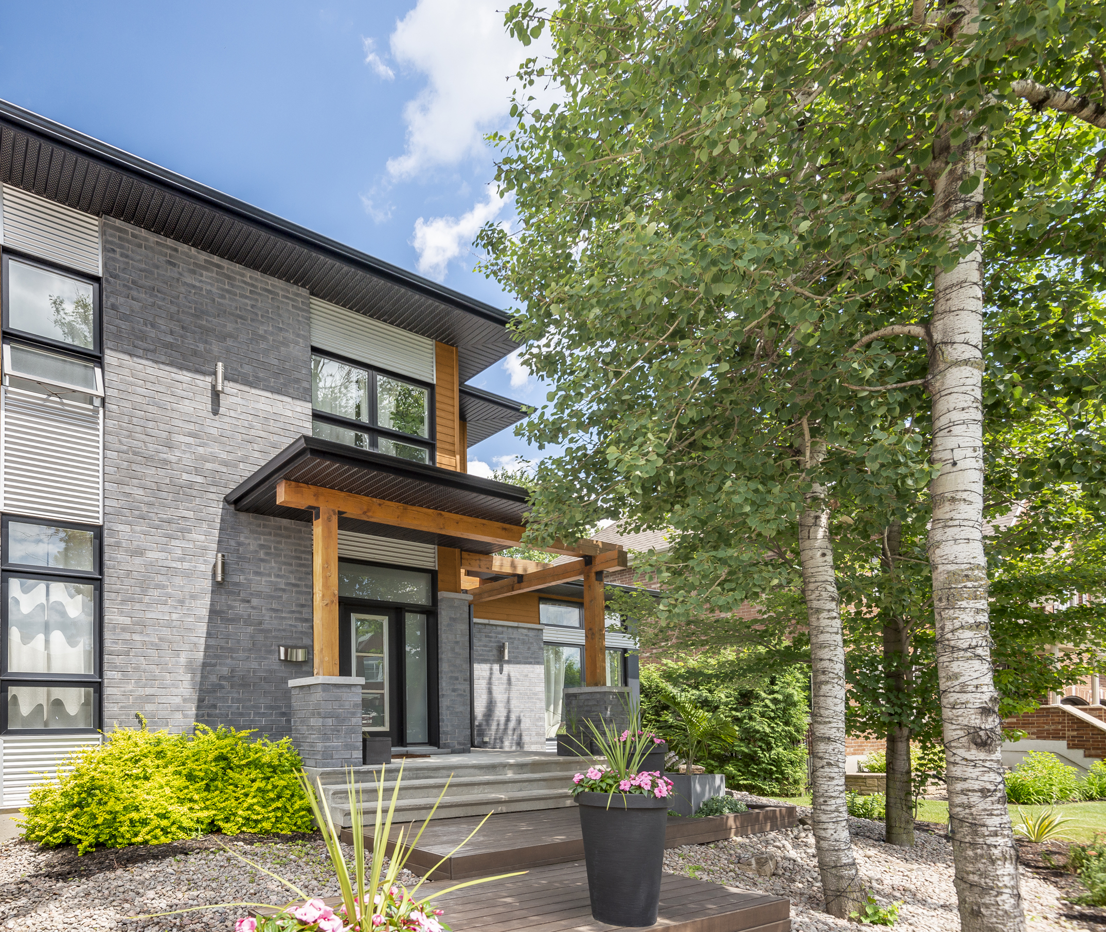 Romania - Ash Charcoal