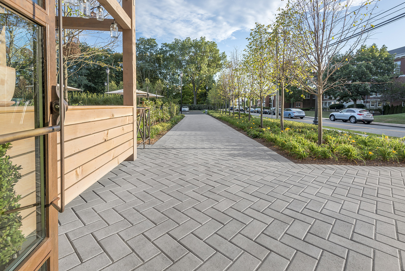 Venza - Ash Charcoal