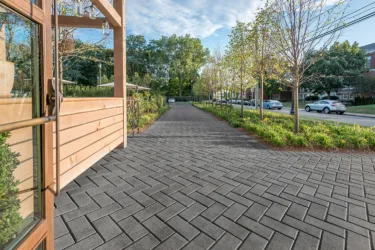 VENZA CHARBONCENDRE 9279 M low