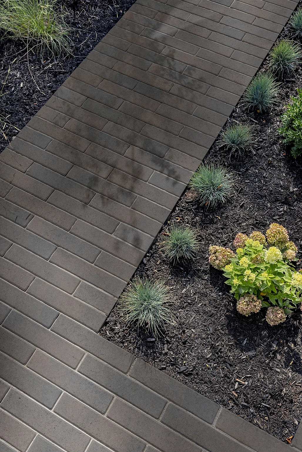 PROMA_BARRETTE_TRUFFE_9992