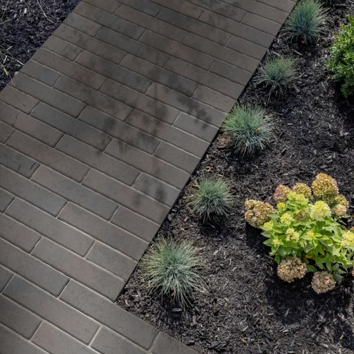 PROMA_BARRETTE_TRUFFE_9992