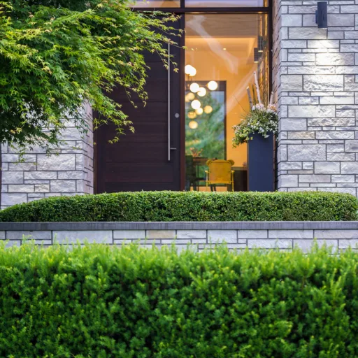 LORENA BLANCAMANDE P34 low