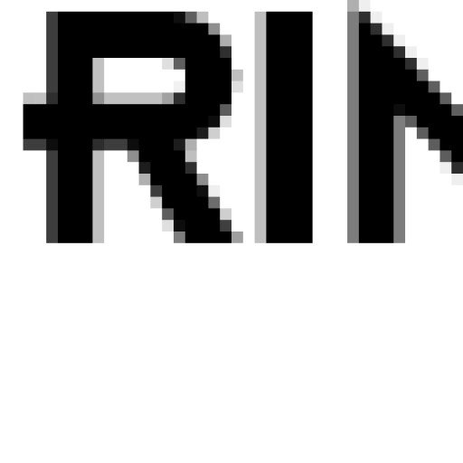 Logo rinox horizontal svg