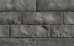 Rinox Lotis charbon charcoal