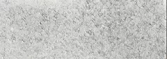 Asset635bf51c45a2c3 24813504