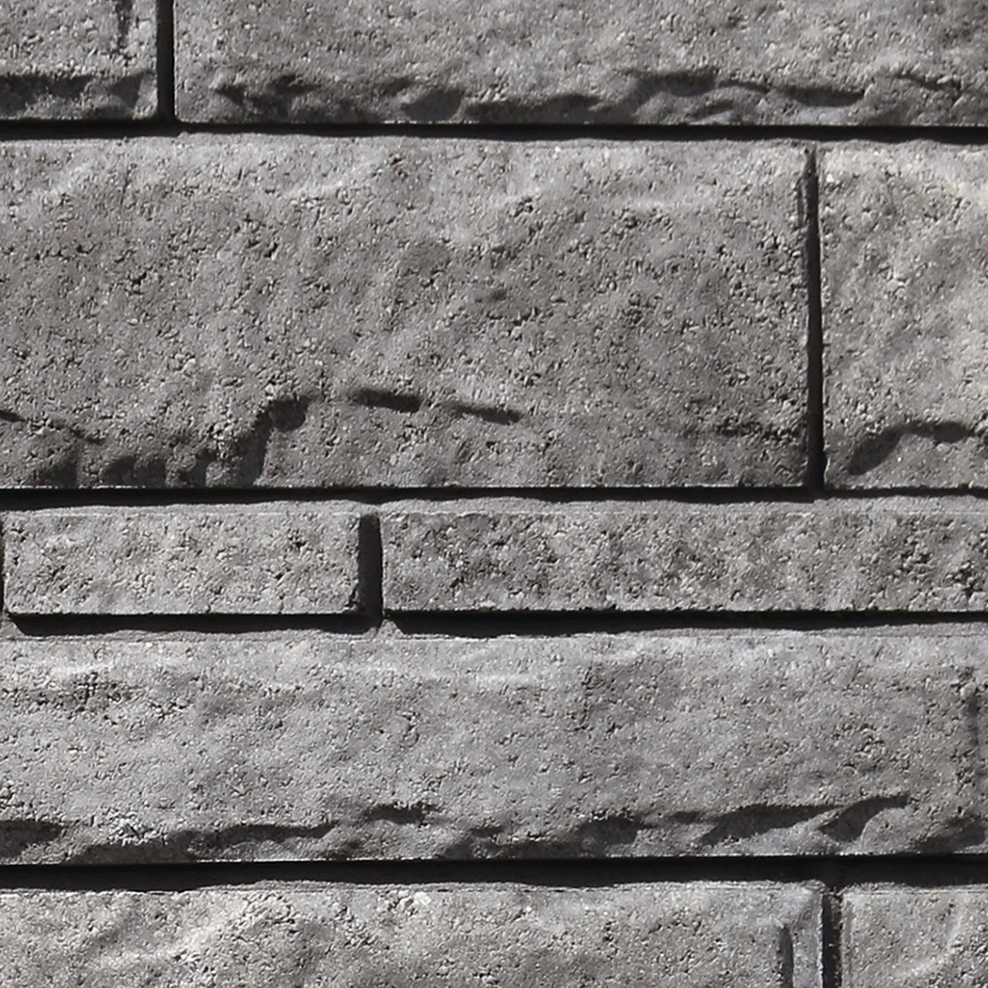 STANFORD_Husky_Square