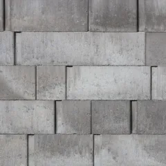 NOLITA HUSKY visuel
