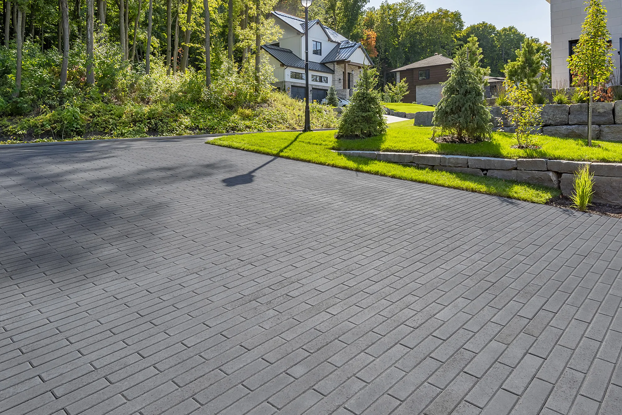 PROMA BARRETTE CAVIAR low