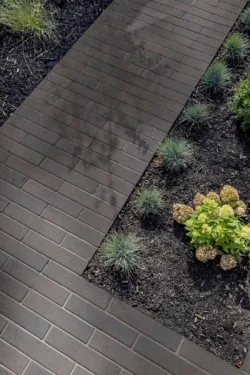 PROMA BARRETTE TRUFFE 9992 low