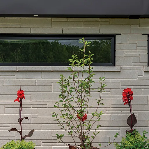 ALLEGE 30 BLANC RIVIERE BEAUDETTE 3921 M low