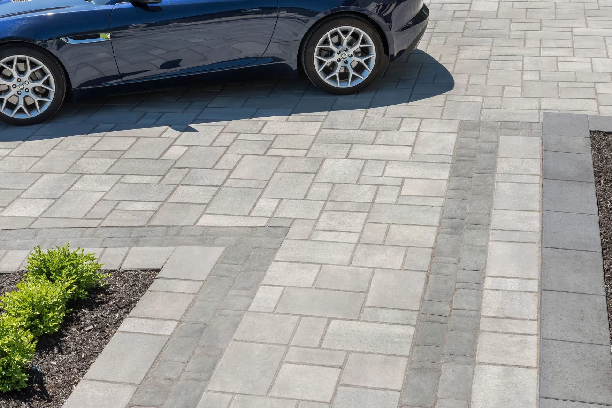 Rinox aspen charboncendre Ash Charcoal